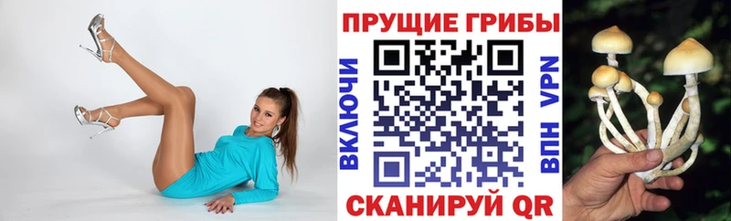 как найти   Батайск  Псилоцибиновые грибы Magic Shrooms 