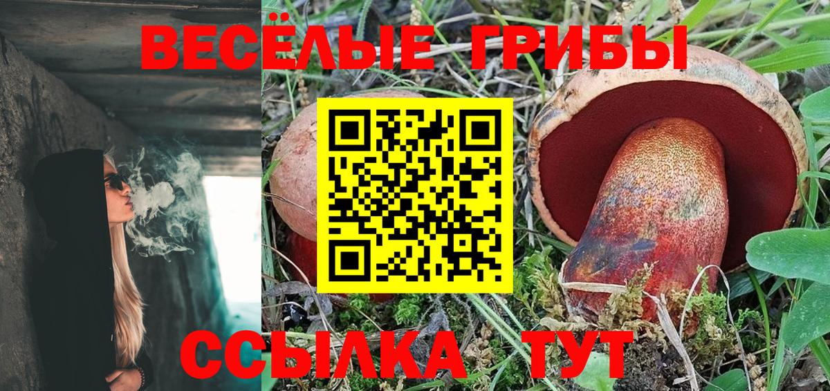 Галлюциногенные грибы Psilocybine cubensis  Батайск  Псилоцибиновые грибы мухоморы 