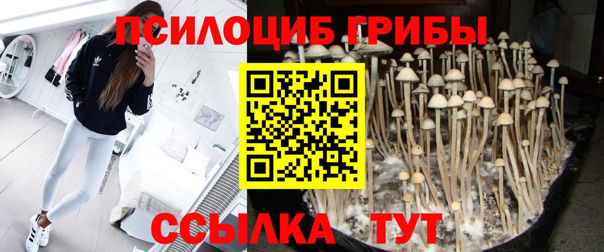 Псилоцибиновые грибы ЛСД Батайск